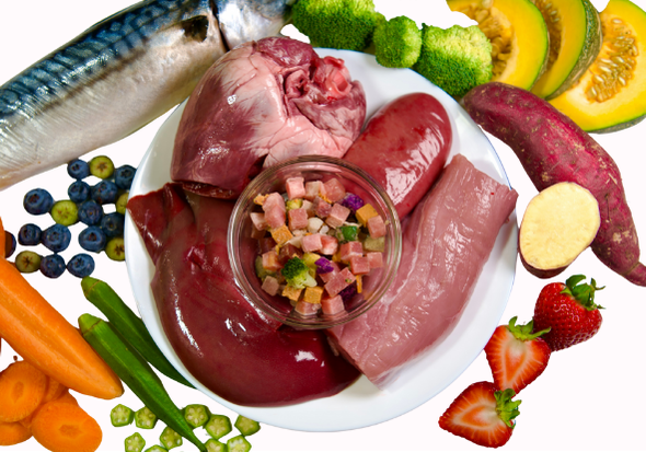 Frozen Raw Meals (Pork and Mackerel)