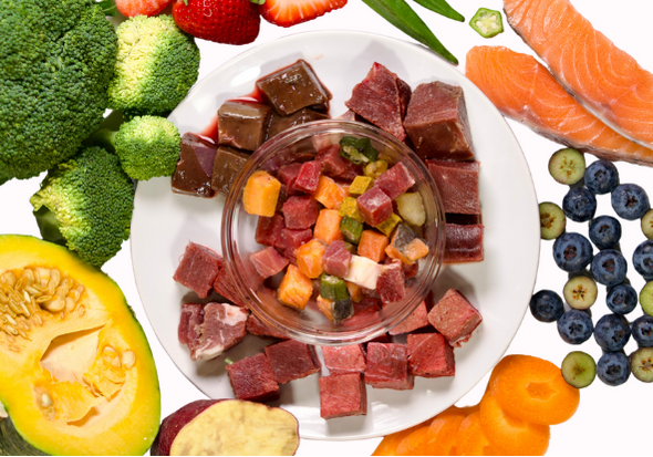 Frozen Raw Meals (Beef and Salmon)