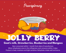 Jolly Berry Christmas Milkshake