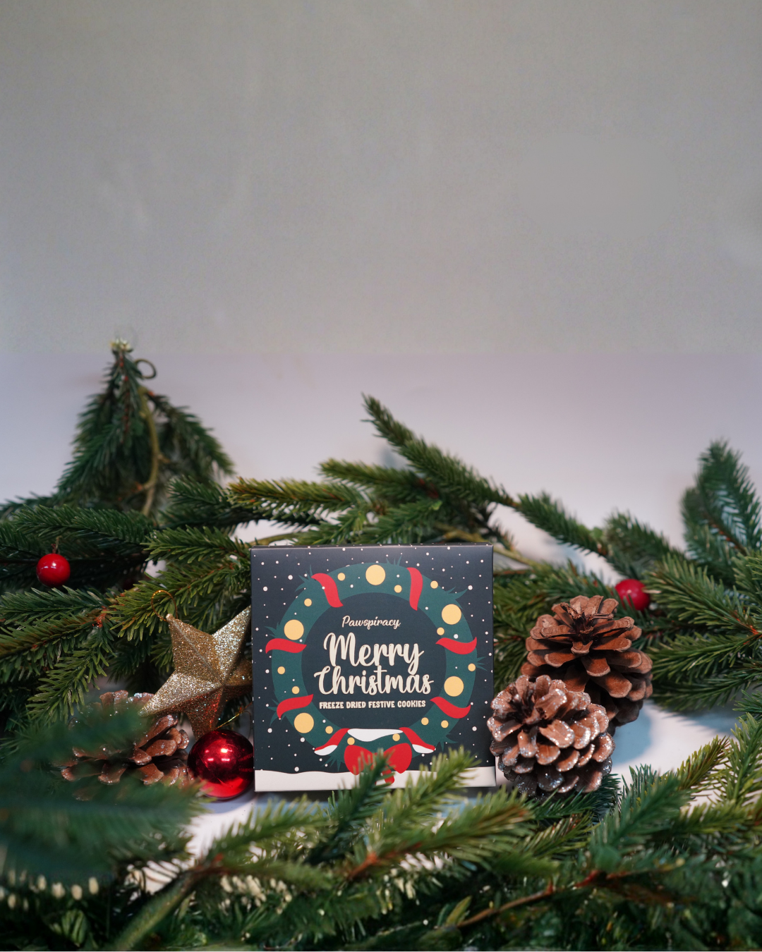 Christmas Cookies 2025