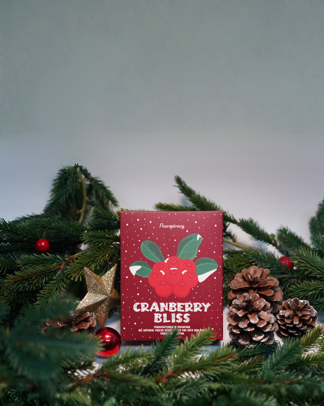 Christmas Cranberry Bliss