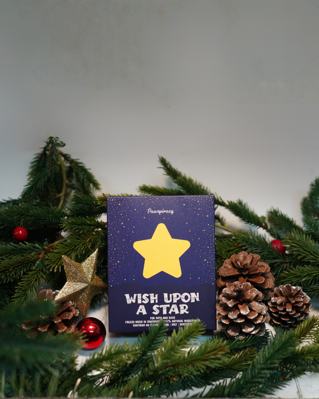 Christmas Wish Upon a Star