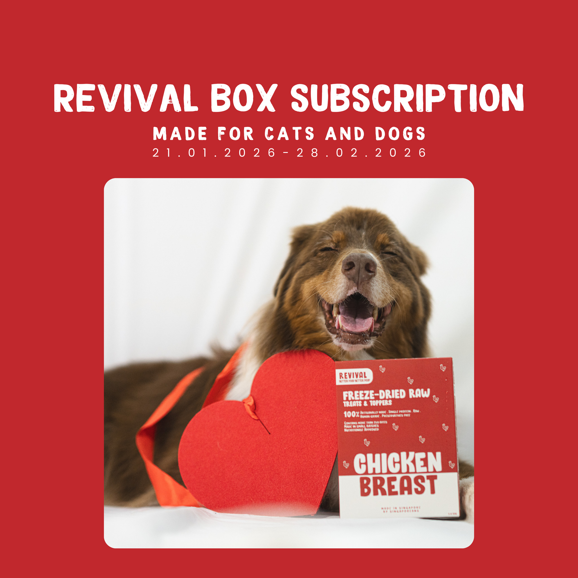 Revival Box Plan 2026