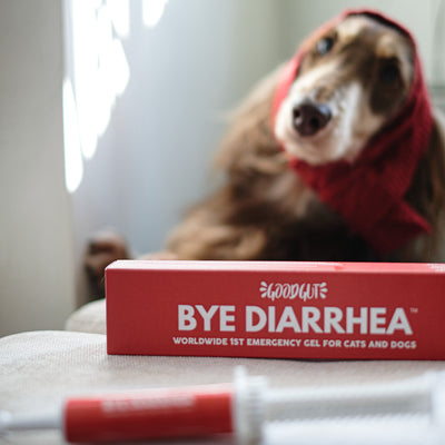 Good Gut Bye Diarrhea Gel