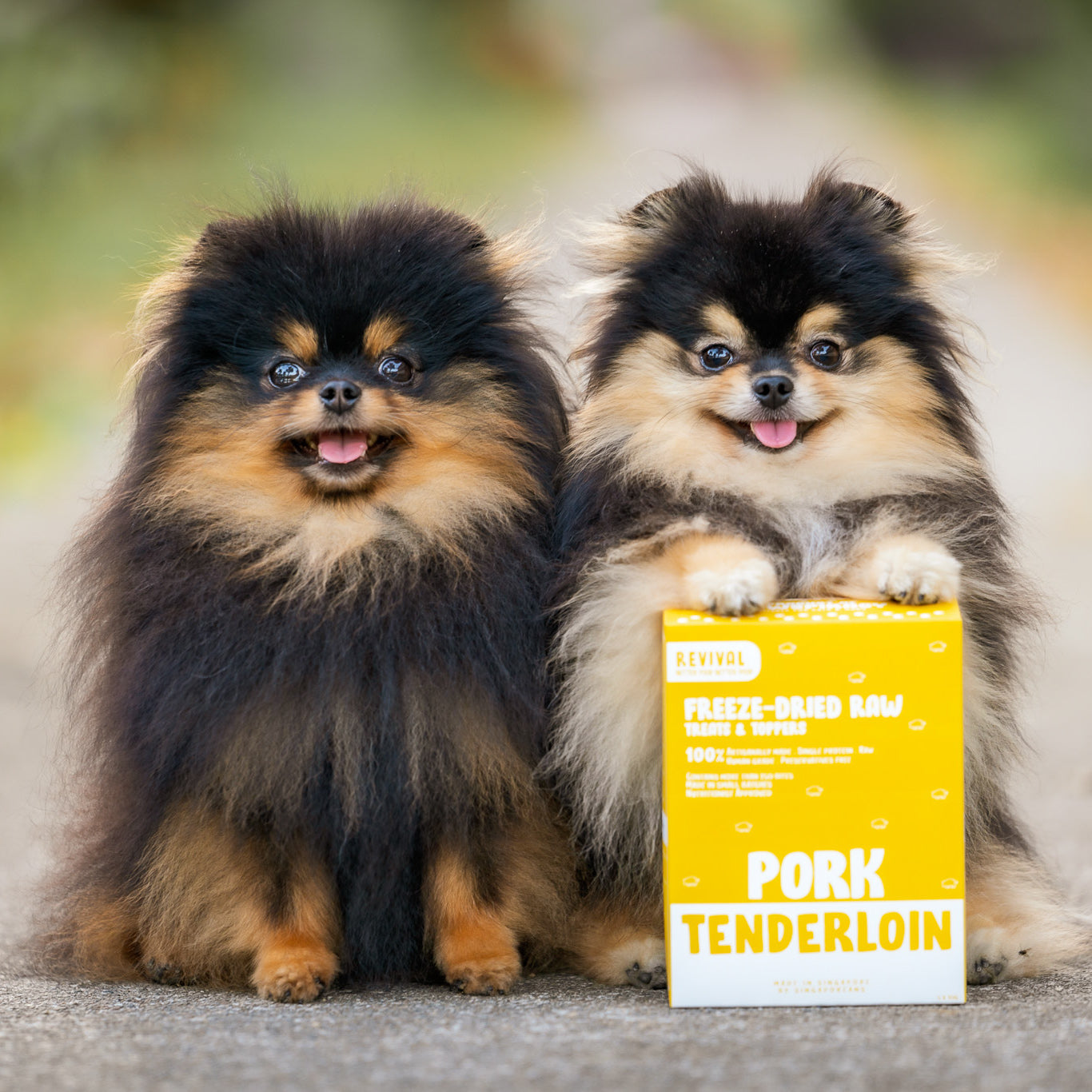 Pork Tenderloin Training Bites