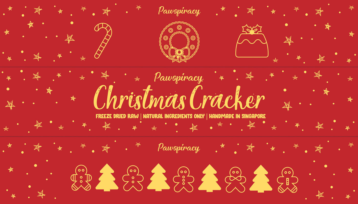 Christmas Cracker