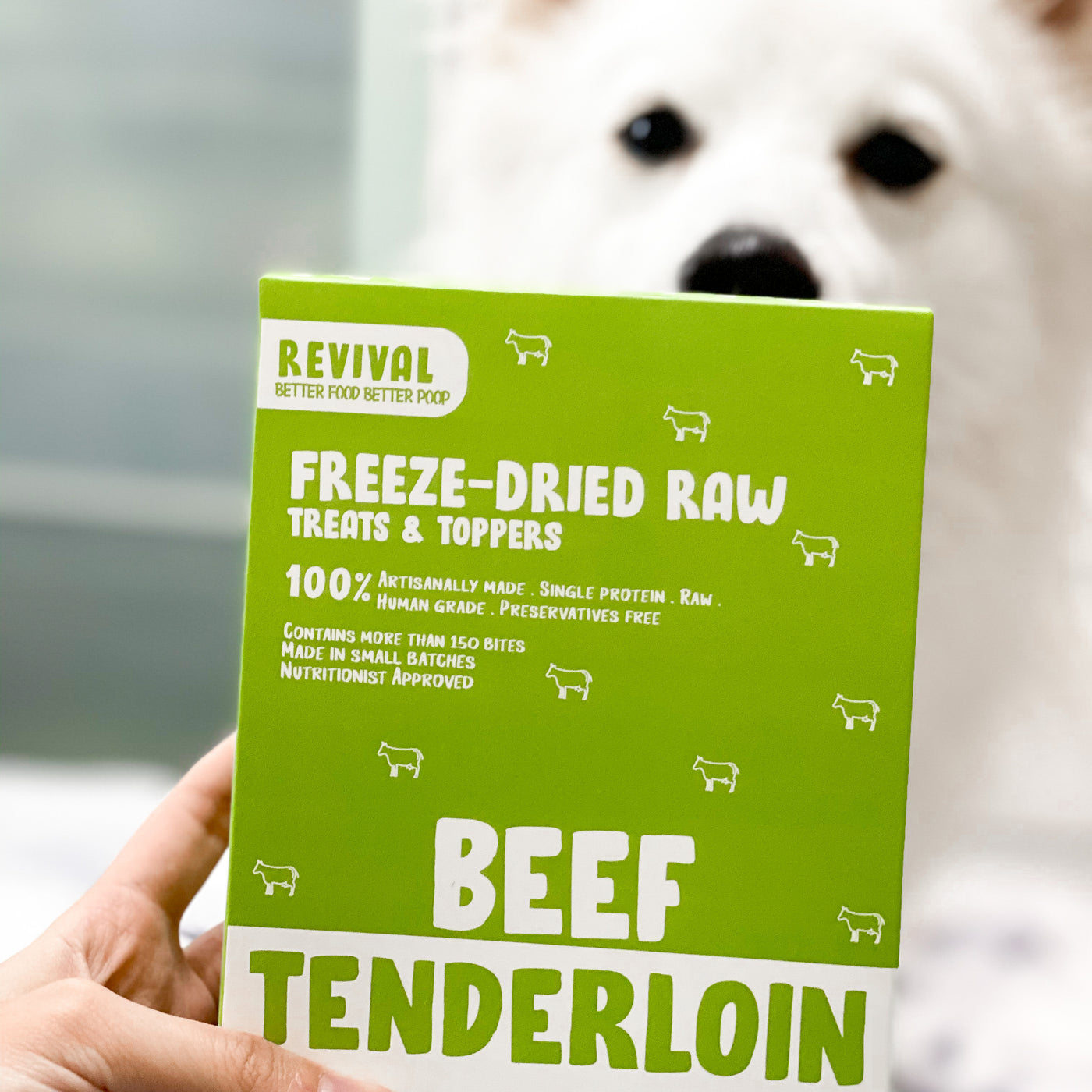 Beef Tenderloin Training Bites