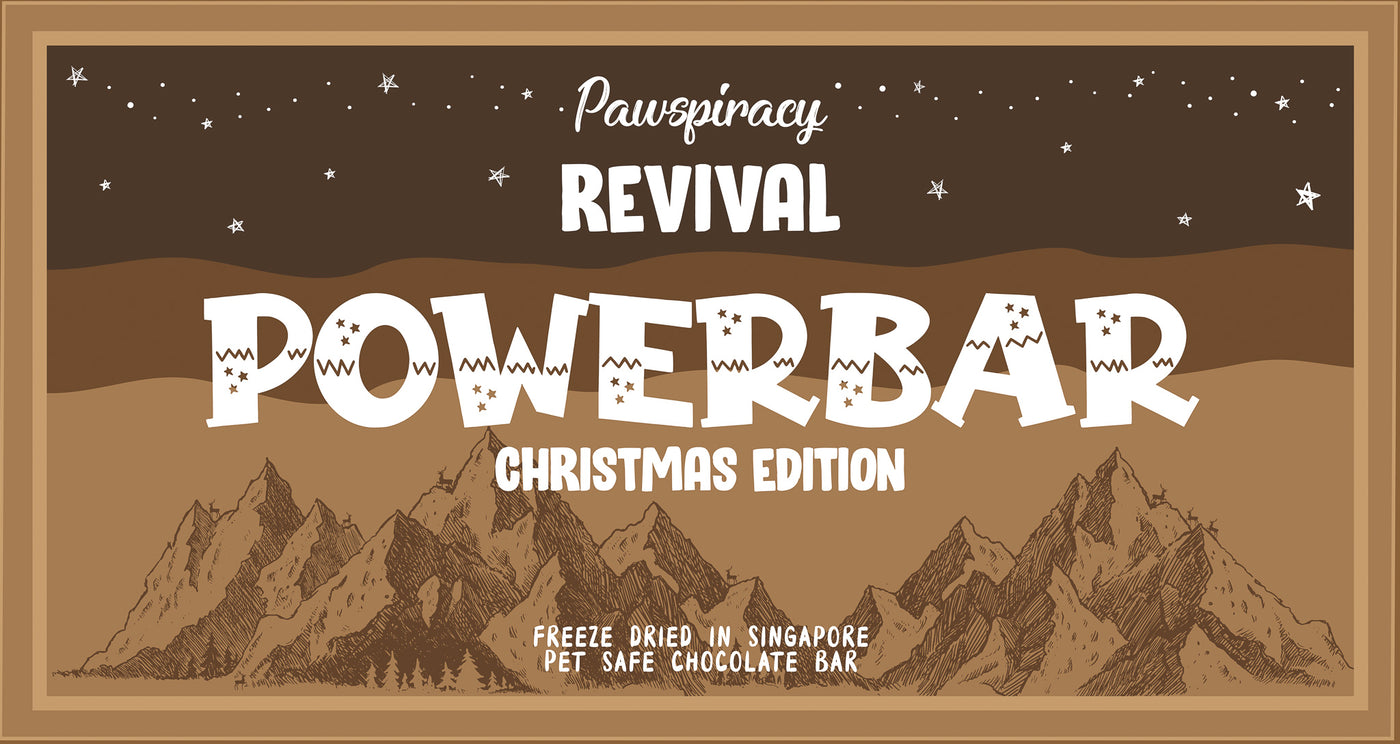 Christmas Powerbar