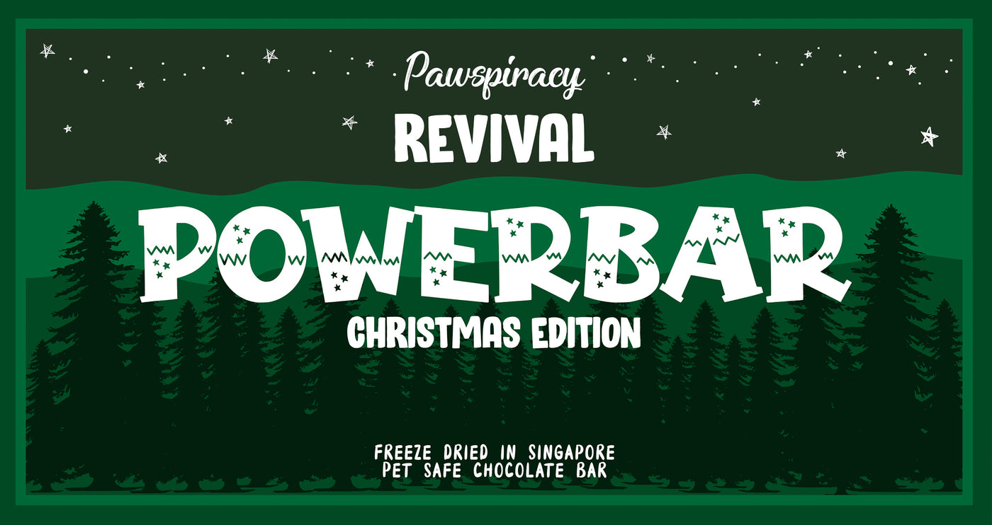 Christmas Powerbar
