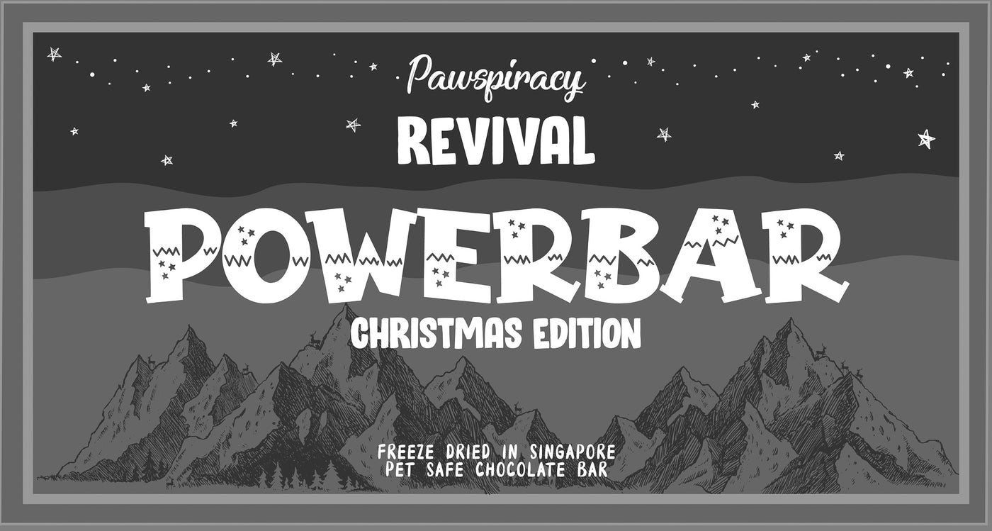 Christmas Powerbar