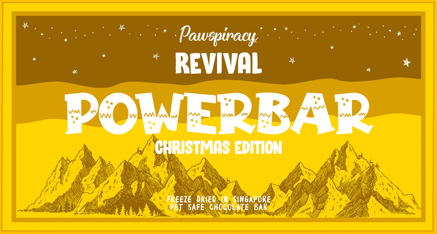 Christmas Powerbar
